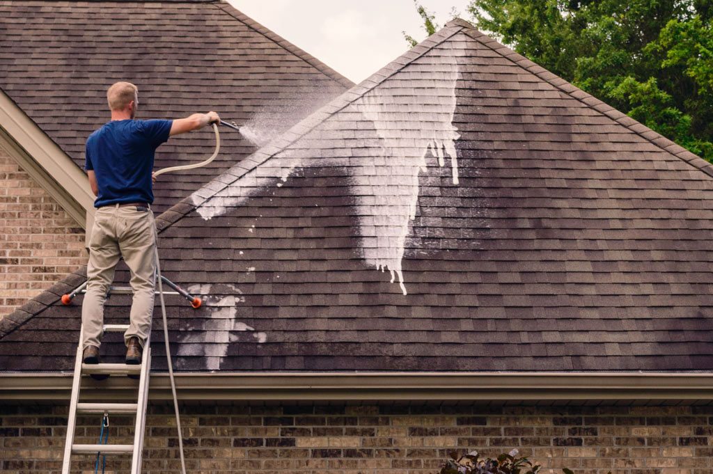 6 Important Facts And Myths Of Residential Roof Washing