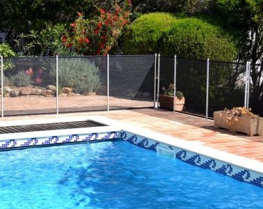 Tips To Protect Your Pool From Wildlife