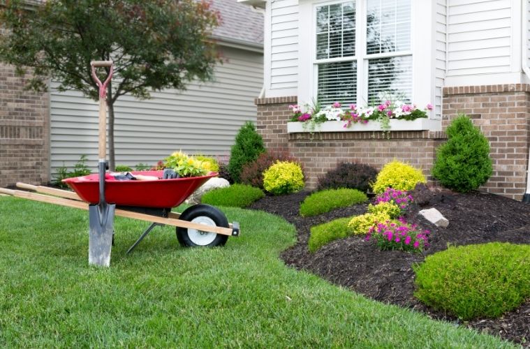 Common Landscaping Mistakes To Watch Out For