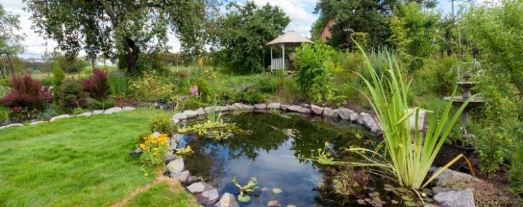 What To Consider Before Adding a Water Feature to Your Yard