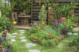 Ways To Improve Your Home Garden