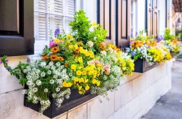Tips and Tricks To Boost Your Home’s Curb Appeal