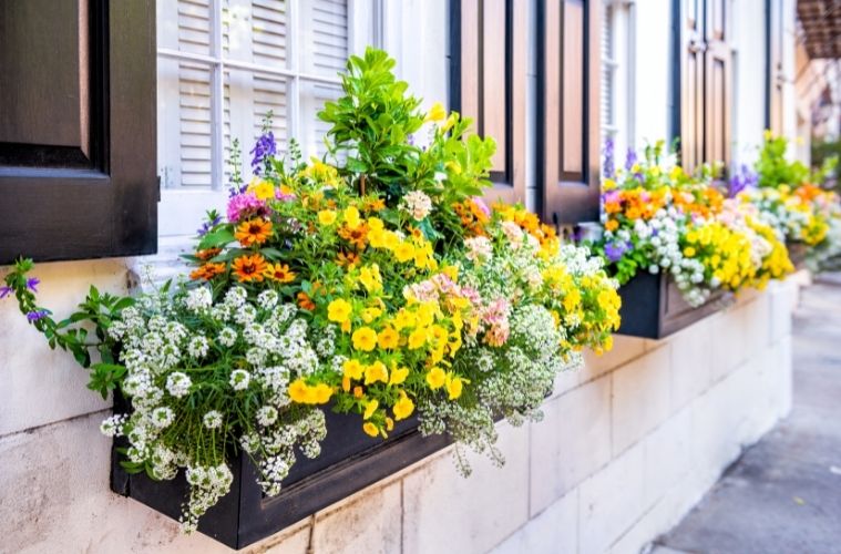 Tips and Tricks To Boost Your Home’s Curb Appeal