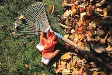 Essential Tools for Autumn Leaf Management