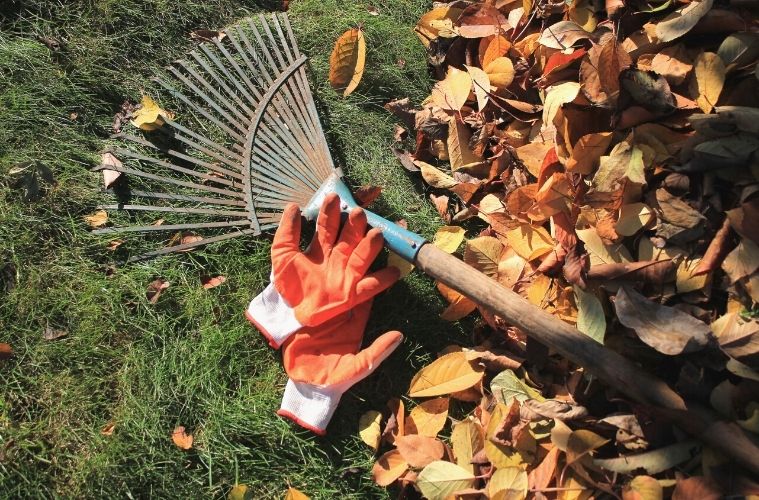 Essential Tools for Autumn Leaf Management
