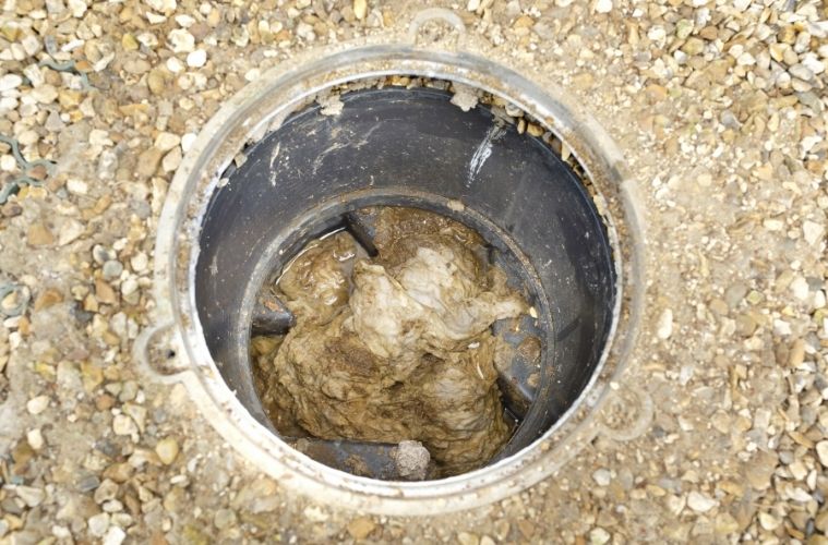 Common Causes of Sewer Backups in Your Home