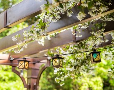 Ways To Enhance Your Backyard During Spring