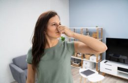 The Household Odors You Should Never Ignore