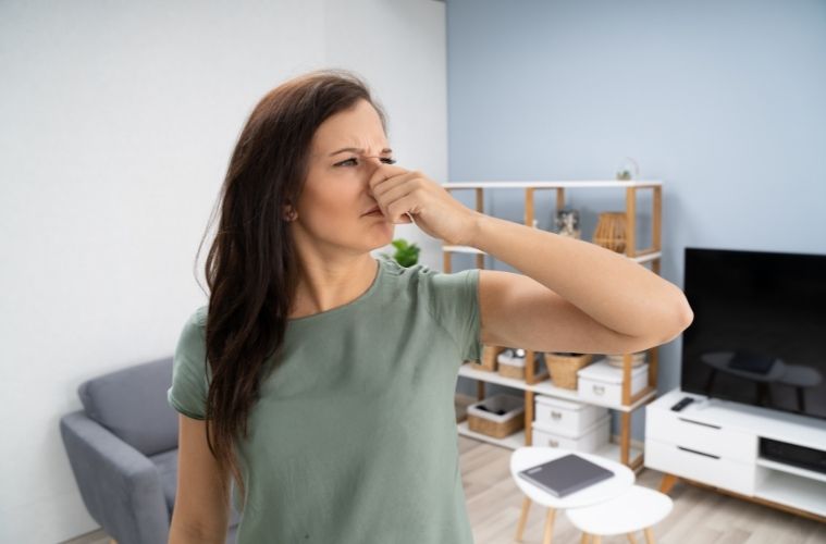 The Household Odors You Should Never Ignore