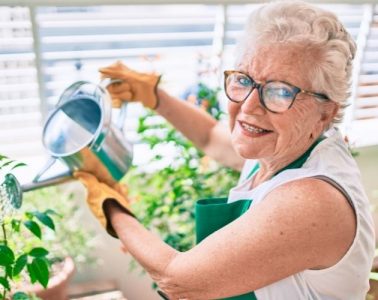 Household Plants That Seniors Can Take Care Of