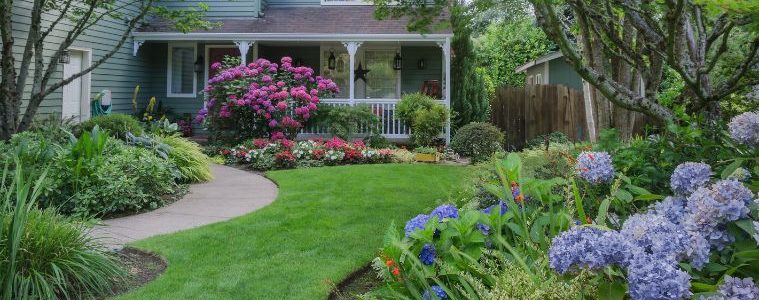 Beautiful Additions You Can Add to Your Yard