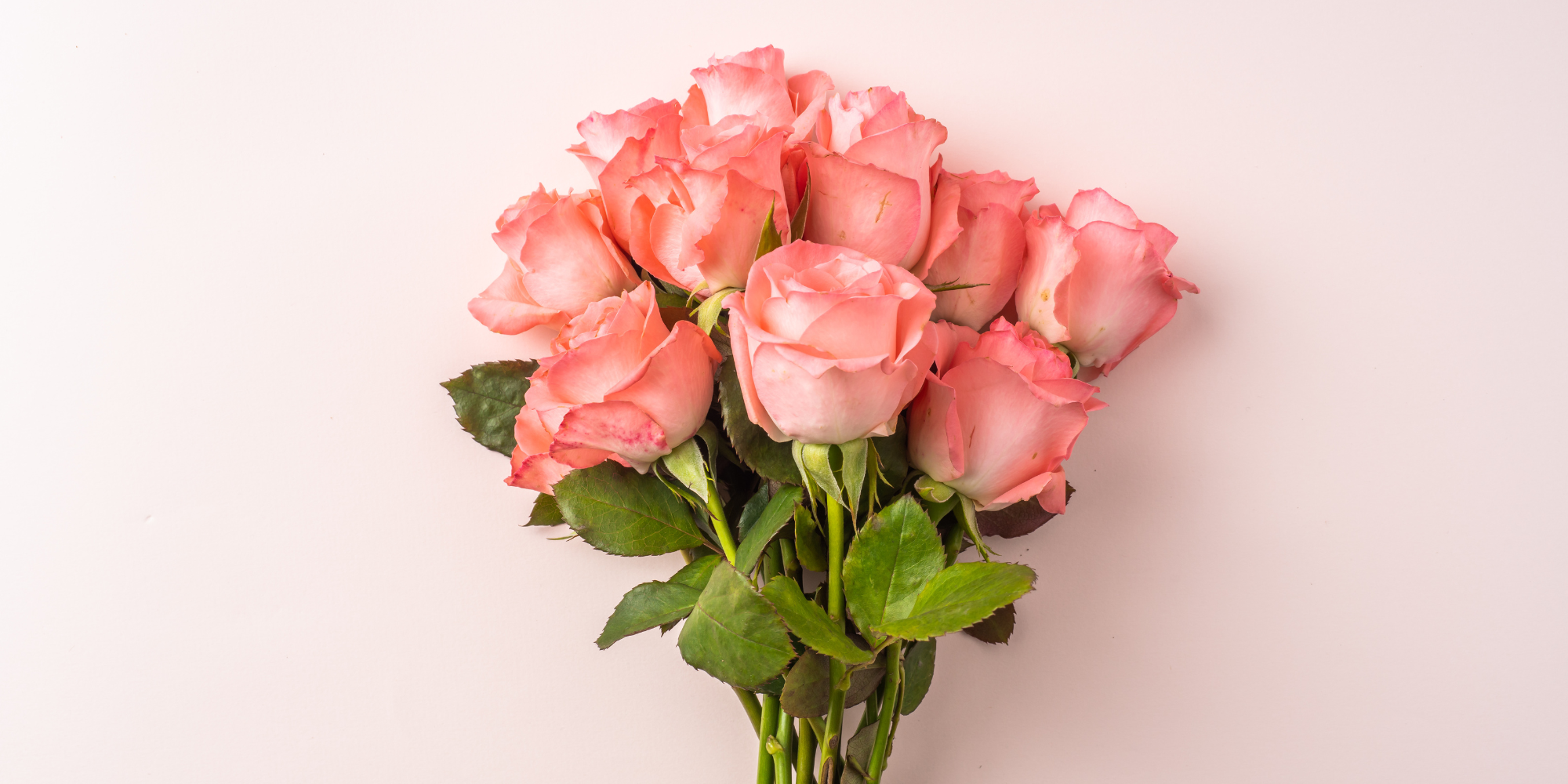 Decorate Your Home with Eternity Roses